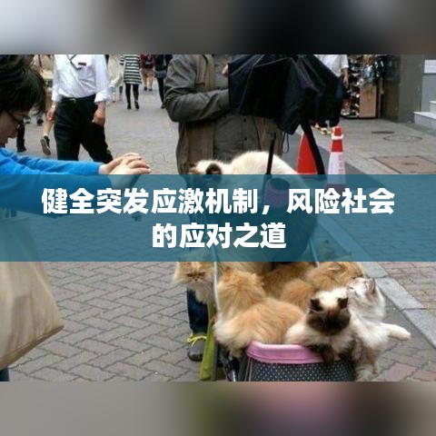健全突发应激机制，风险社会的应对之道