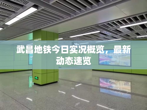 武昌地铁今日实况概览，最新动态速览