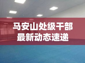 娇小玲珑 第2页