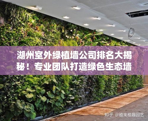 集腋成裘 第2页