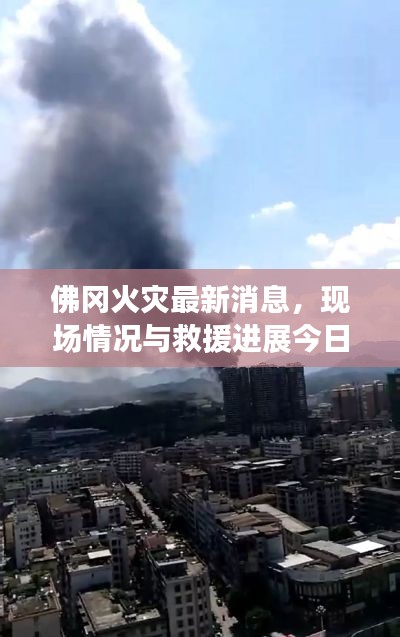 读书三到 第2页