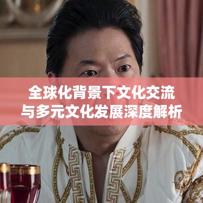 全球化背景下文化交流与多元文化发展深度解析
