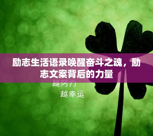 励志生活语录唤醒奋斗之魂，励志文案背后的力量