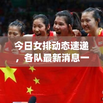 今日女排动态速递，各队最新消息一网打尽！
