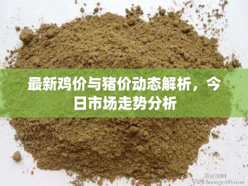 最新鸡价与猪价动态解析，今日市场走势分析