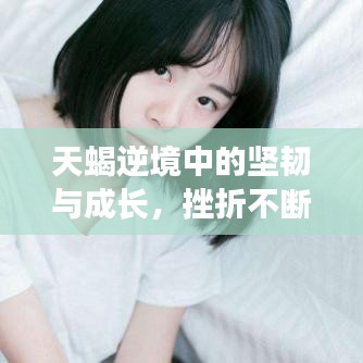 天蝎逆境中的坚韧与成长，挫折不断，成长不止