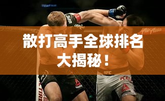 散打高手全球排名大揭秘！