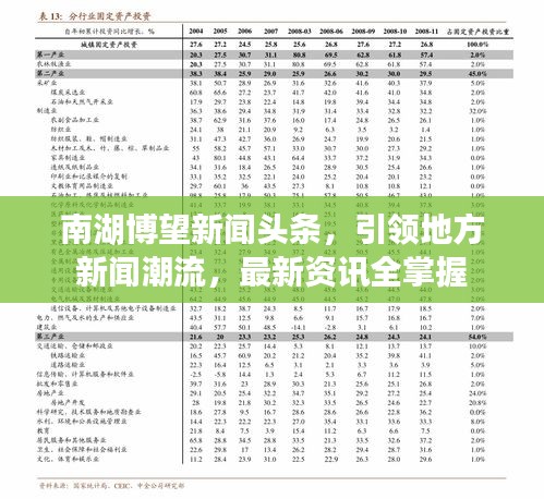 南湖博望新闻头条，引领地方新闻潮流，最新资讯全掌握