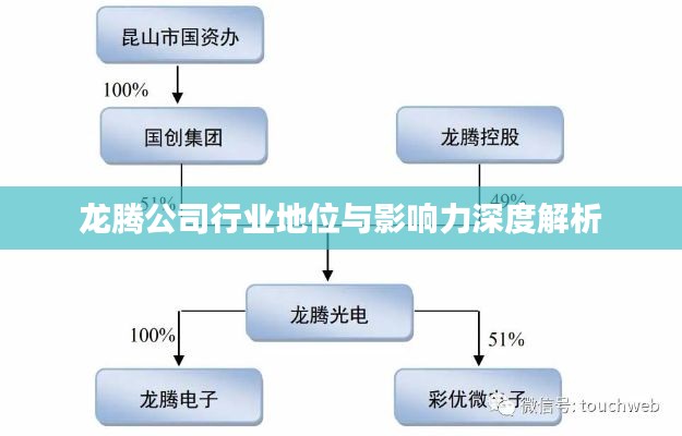 龙腾公司行业地位与影响力深度解析
