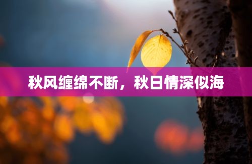秋风缠绵不断，秋日情深似海
