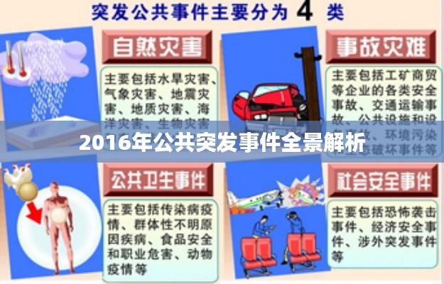 2016年公共突发事件全景解析