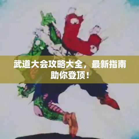 武道大会攻略大全，最新指南助你登顶！