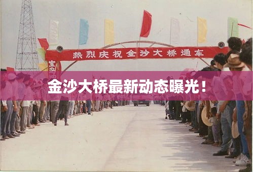 金沙大桥最新动态曝光！
