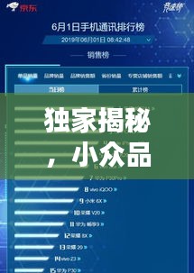 独家揭秘，小众品牌包包TOP 10榜单，你错过哪些时尚之选？