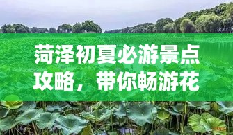 菏泽初夏必游景点攻略，带你畅游花海！