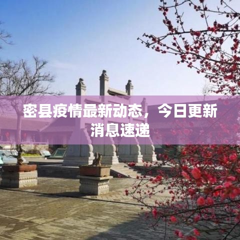密县疫情最新动态，今日更新消息速递