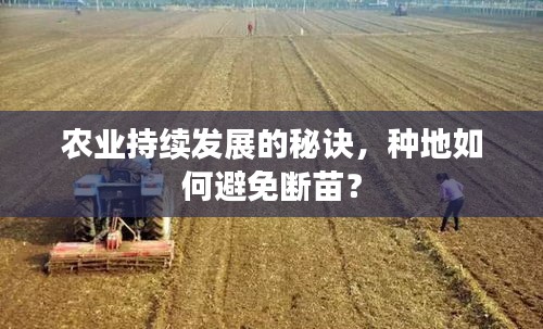 农业持续发展的秘诀，种地如何避免断苗？