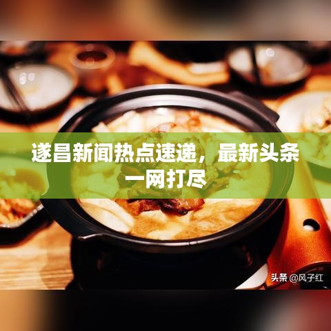 遂昌新闻热点速递，最新头条一网打尽