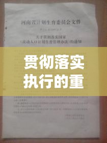 贯彻落实执行的重要性及实践应用解析
