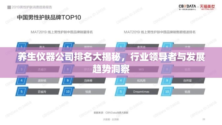 养生仪器公司排名大揭秘，行业领导者与发展趋势洞察