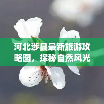 河北涉县最新旅游攻略图，探秘自然风光与人文魅力胜地