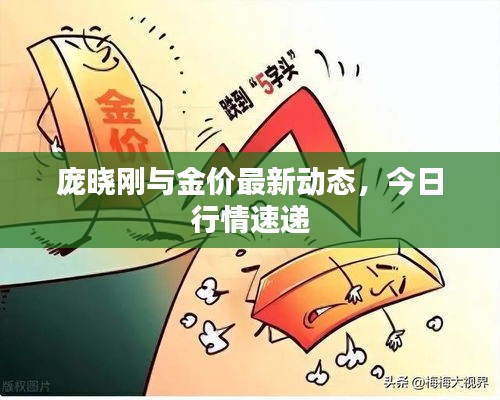 庞晓刚与金价最新动态，今日行情速递
