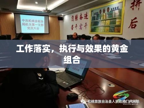 工作落实，执行与效果的黄金组合
