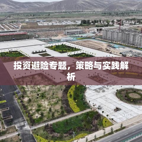 投资避险专题，策略与实践解析