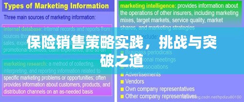 保险销售策略实践，挑战与突破之道
