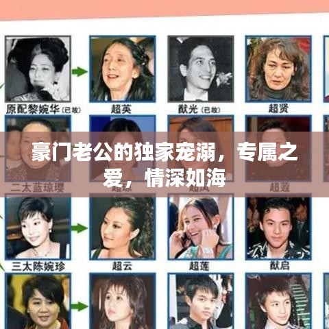 豪门老公的独家宠溺，专属之爱，情深如海