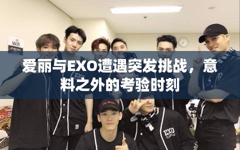 爱丽与EXO遭遇突发挑战，意料之外的考验时刻