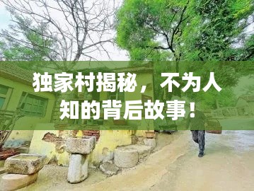 独家村揭秘，不为人知的背后故事！