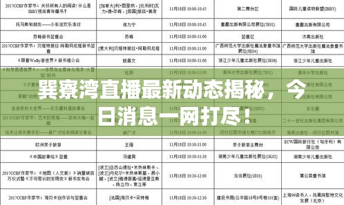巽寮湾直播最新动态揭秘，今日消息一网打尽！