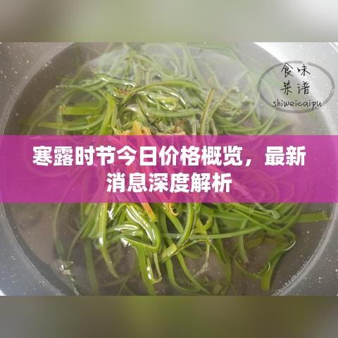 寒露时节今日价格概览，最新消息深度解析