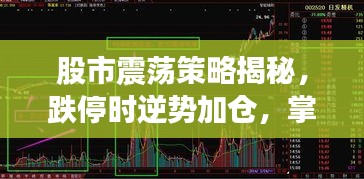 股市震荡策略揭秘，跌停时逆势加仓，掌握加压单技巧！