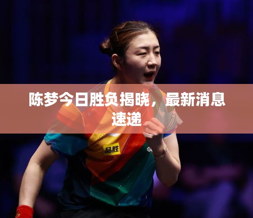陈梦今日胜负揭晓，最新消息速递