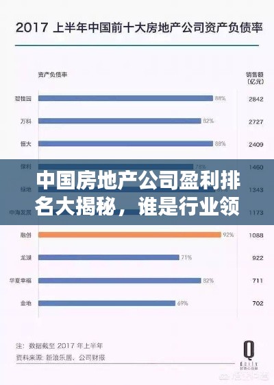 中国房地产公司盈利排名大揭秘，谁是行业领头羊？