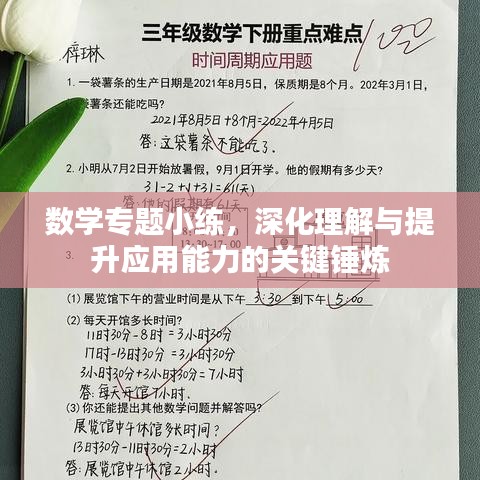 数学专题小练，深化理解与提升应用能力的关键锤炼