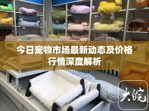 今日宠物市场最新动态及价格行情深度解析