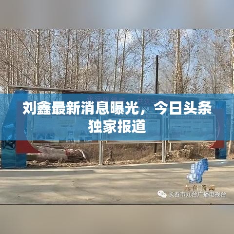 刘鑫最新消息曝光，今日头条独家报道