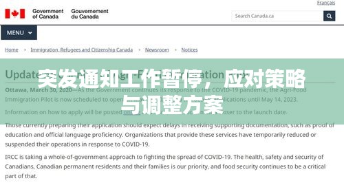 突发通知工作暂停，应对策略与调整方案