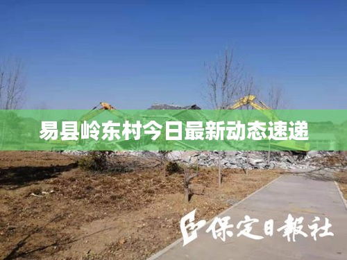 易县岭东村今日最新动态速递