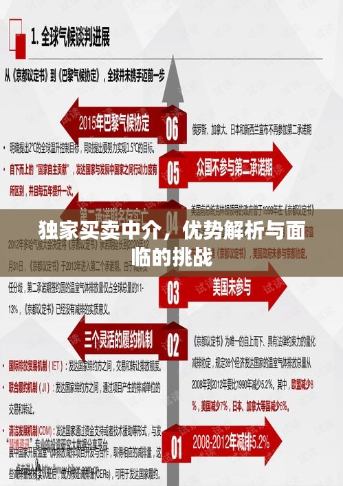 独家买卖中介，优势解析与面临的挑战