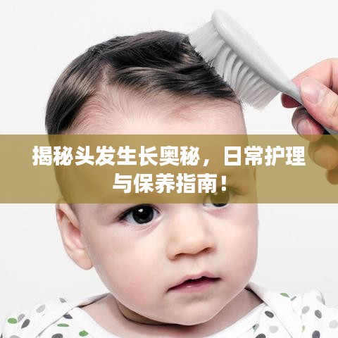 揭秘头发生长奥秘，日常护理与保养指南！