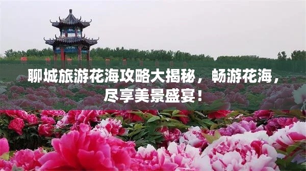 聊城旅游花海攻略大揭秘，畅游花海，尽享美景盛宴！