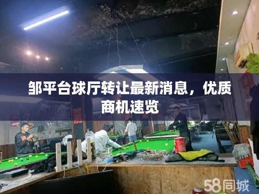 邹平台球厅转让最新消息，优质商机速览