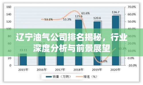 辽宁油气公司排名揭秘，行业深度分析与前景展望