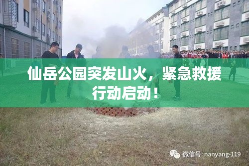 仙岳公园突发山火，紧急救援行动启动！