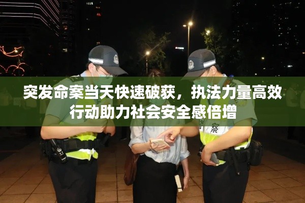 突发命案当天快速破获，执法力量高效行动助力社会安全感倍增