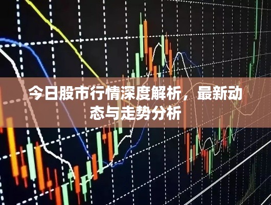 今日股市行情深度解析，最新动态与走势分析